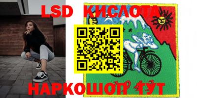 амф Камышлов