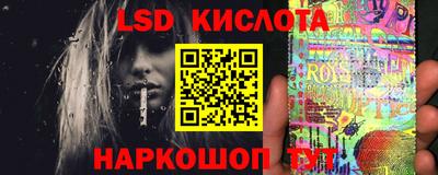 амф Камышлов