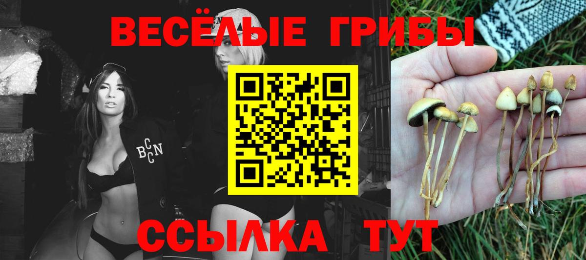 Галлюциногенные грибы GOLDEN TEACHER  Вход с VPN  Зерноград  Псилоцибиновые грибы Cubensis 