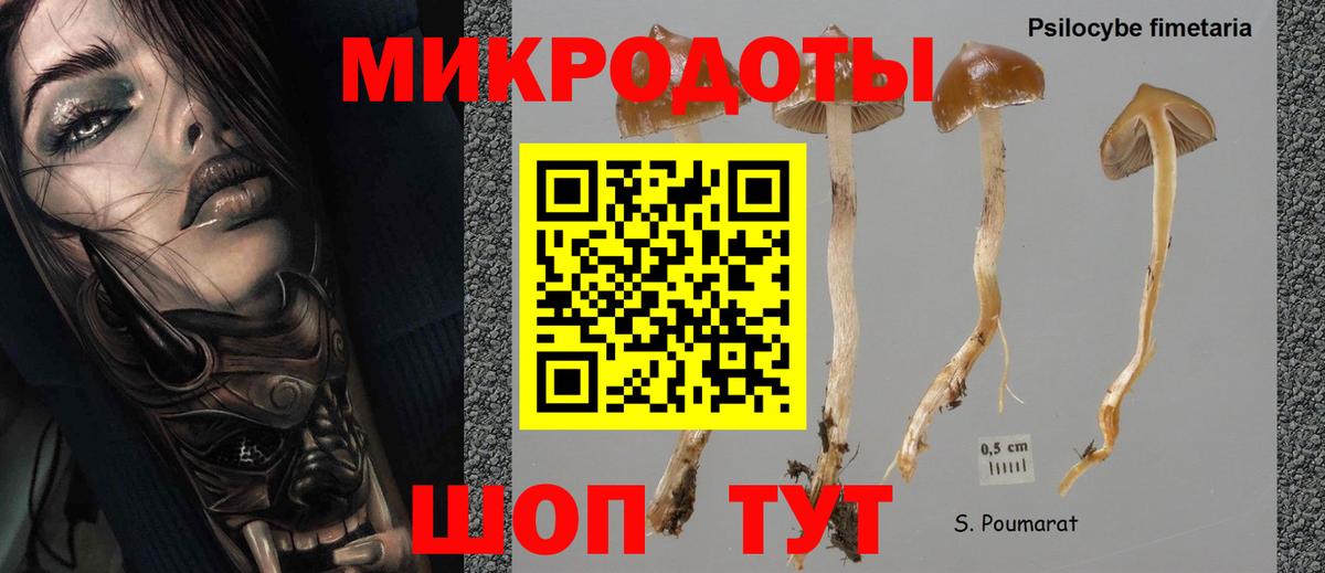 Галлюциногенные грибы MAGIC MUSHROOMS Зерноград